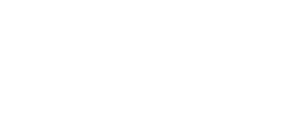 echoConsultingLogo